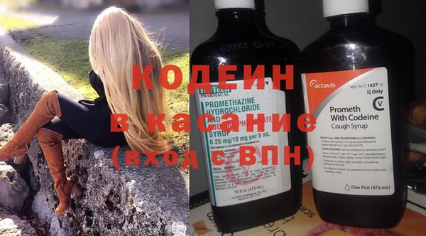 ПСИЛОЦИБИНОВЫЕ ГРИБЫ Новозыбков