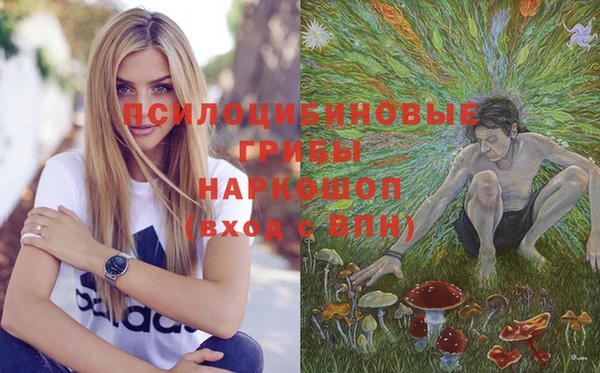 ПСИЛОЦИБИНОВЫЕ ГРИБЫ Новозыбков