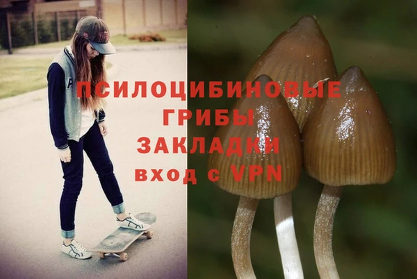 MDMA Premium VHQ Новодвинск