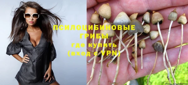 гашиш Новокубанск
