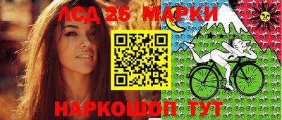 шишки Будённовск
