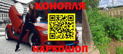 шишки Будённовск