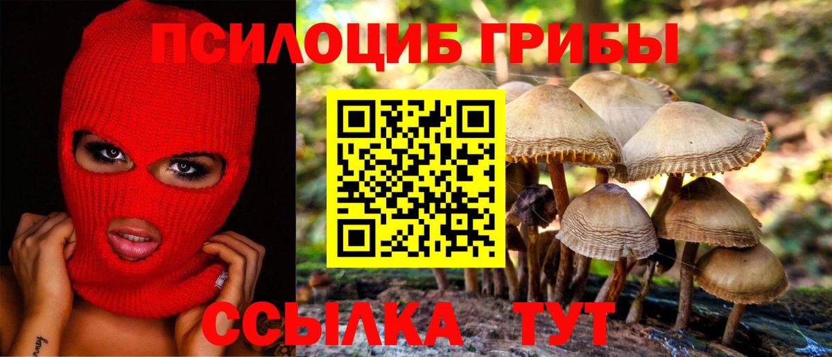 Псилоцибиновые грибы Psilocybine cubensis Луховицы